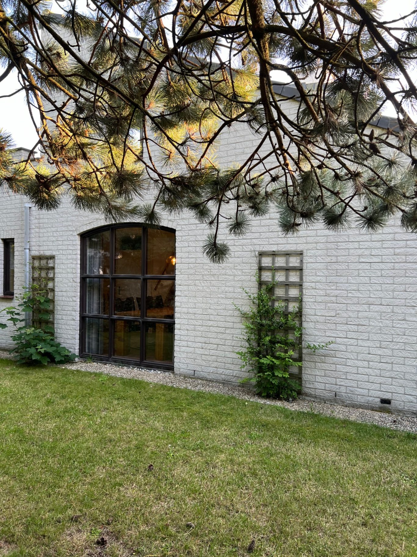 Achterzijde van vakantiehuis Texel bij De Krim